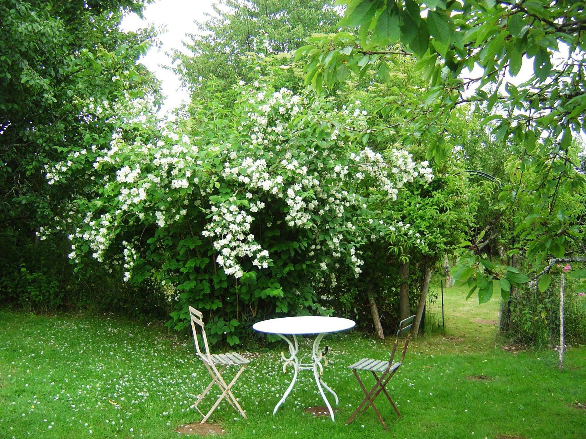 Les Trois Chenes Bed & Breakfast Videix Luaran gambar